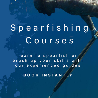 Spearfishing courses